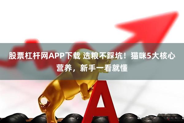 股票杠杆网APP下载 选粮不踩坑！猫咪5大核心营养，新手一看就懂