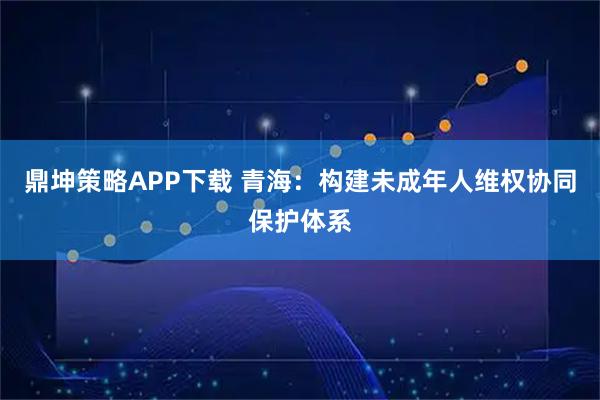 鼎坤策略APP下载 青海：构建未成年人维权协同保护体系